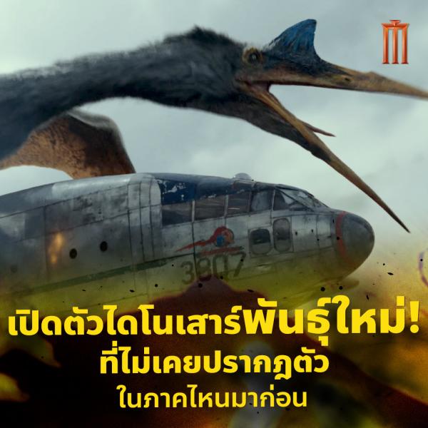 My Image 26